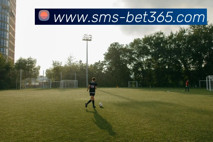 bet365平台生态图